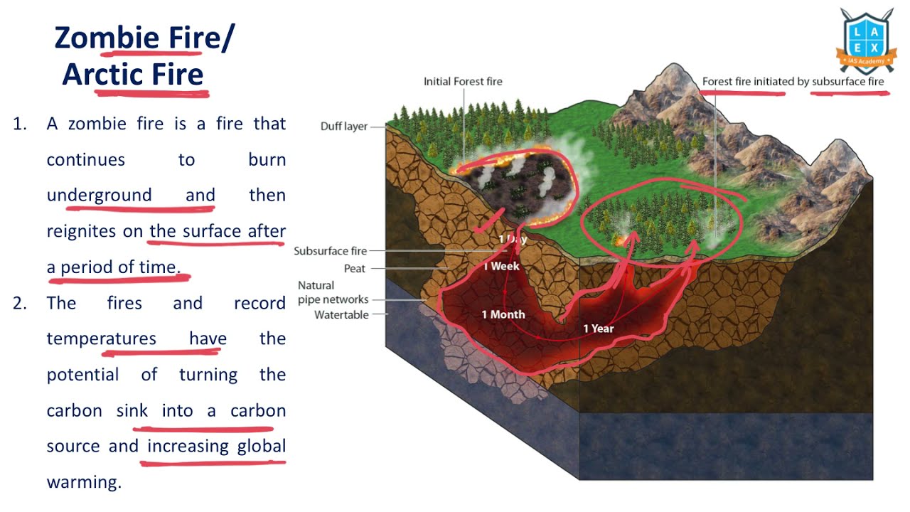 What Is Zombie Fire/ Arctic Fire ? || Zombie Fire/ Arctic Fire అంటే ...