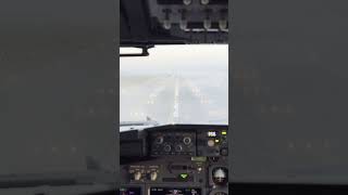 Boeing 737NG Autoland in Foggy Weather #Shorts
