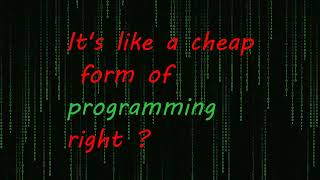 What TRULY is: SCRIPTING (vs Programming)