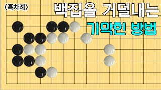 (바둑의기술 #201) 종합 3문제