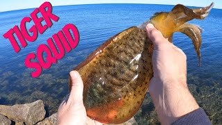 How To Catch Tiger Squid - Moreton Bay