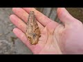 3 g 10 smoker arrowheads in 1 hunt arrowhead hunting missouri