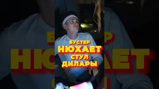 Бустер НЮХАЕТ СТУЛ ДИЛАРЫ 🤯#бустер #дилара #блогеры #тикток #reels #shortyoutube