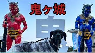 三重県鬼ヶ城 優しい巨人✌︎👹✌︎ 超大型犬 グレートデン クィーンちゃん❤ 犬と観光🐕‍🦺 大型犬 多頭飼育 ニューファンドランドボス君 犬との暮らし 猫との暮らし 保護猫 渡辺ボス