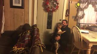 Dog Excitedly Greets Owner After Three Months Apart - 986727