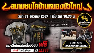 🔴[LIVE] ถ่ายทอดสดวัวชนวันนี้ #วัวชน ชนโคบ้านหนองบัวใหญ่ วันที่ 31 ธันวาคม 2567 #เฮียหมู #สิงห์สนาม