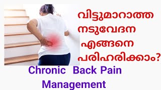 വിട്ടുമാറാത്ത നടുവേദന എങ്ങനെ പരിഹരിക്കാം|Back Pain Relief