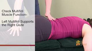 Assessment for Lower Back, Pelvis and Hips