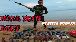 Molo Ikan Laut Pantai Jayapura Papua