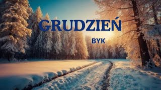 Byk ♉️ Horoskop na Grudzień 💙❄️💙 Twoja Sytuacja 💙