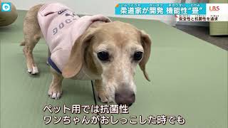 【愛犬も大喜び】柔道家が開発！やさしく安全、”技あり”な「畳」とは。