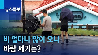 비 얼마나 많이 오나…바람 세기는? | 뉴스특보