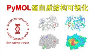 【生信进阶之路｜技能篇10】Pymol 蛋白质结构可视化