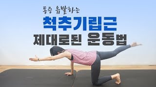 [ENG sub]허리통증잡는 척추기립근(잘못된 운동법과 올바른운동법)- How to fix your erector spinae muscles