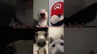 Cuando llamo a luigi