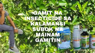 GAMIT NA INSECTICIDE PARA SA KALAMANSI SUBOK NA ANG INAM GAMITIN SA ATING KALAMANSI