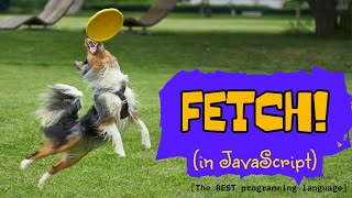 Fetch! (Recording for Jupiter Cohort @ Code the Dream)