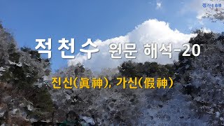 [적천수 원문 해석-20] 25.진신 26.가신