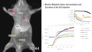 Photonetc's IR VIVO Preclinical Imager: NIR II Flourescence Imaging of an ICG Injection