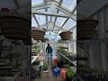 how much can i fit into this 8x12 greenhouse