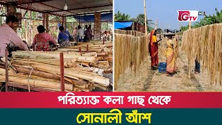 পরিত্যাক্ত কলা গাছ থেকে সোনালী আঁশ | Narail Shuta