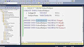 SQL Server Data Type - Tiny Int (English)