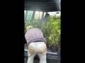 Te Whangai Eco Nursery - From Seedling to Planting