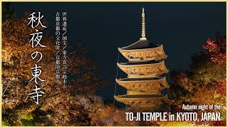 【京都／世界遺産】秋夜の東寺 4K  - Autumn night of the To-ji Temple in KYOTO, JAPAN -