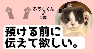 【ペットホテルに預ける事を伝えて欲しい。】#アニマルコミュニケーション #猫