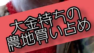 大金持ちの農地買い占め