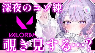 【 #valorant ￤振り分け戦】超久々コソ練、覗いてく…？地獄のコンペ配信🌸【 #紫月るぴ / #新人vtuber 】