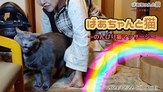 猫も夢中！85歳ばあちゃん特製マッサージ ～90日目のリラックスタイム～