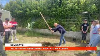 Soverato l' istituto alberghiero Piantato un albero  a cura della classe 3g