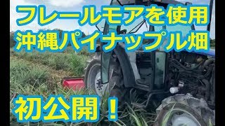 初公開！フレールモアを使用した沖縄パイナップル畑の更新作業です！