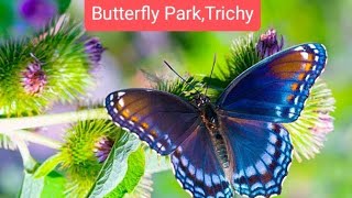 #Butterfly Park, Trichy #Tropical Butterfly Conservatory, Trichy #Nakshatravanam, Trichy,Tamil Nadu