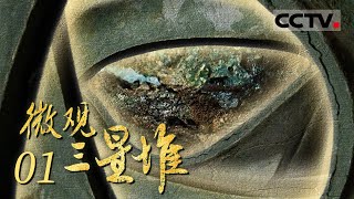 《微观三星堆》三星堆文物精湛的工艺里 藏着哪些不为人知的细节？取名“奇奇怪怪”的三星堆文物长什么样？EP01【CCTV纪录】