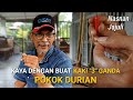 Cara Dapatkan Income Lumayan! Dengan Teknik Cantuman Kaki 3 Ganda Pokok Durian