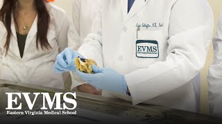 Master of Pathologists' Assistant program overview