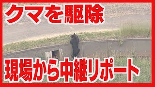 札幌の住宅街に出没のクマを駆除　現場から中継レポート