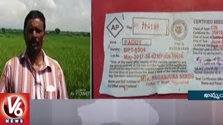 Farmers In Loss With Cultivation Of Fake Seeds, Demands For Compensation | Khammam | V6 News