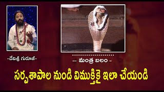 సర్పశాపాల నుండి విముక్తికై ఇలా చేయండి  | #OmkaramDevishreeGuruji | #Gurutatvam