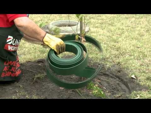 How To Install Garden Edging Around A Tree Diy At Bunnings