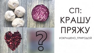 СП Крашу Пряжу.  Окрашивание Пряжи Натуральными Красителями. #Окрашено_Природой Вязание спицами.