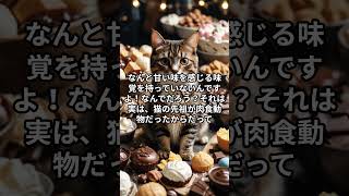 猫は甘味を感じないって知ってた？ #雑学 #ショート #動物