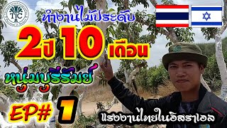 หนุ่มบุรีรัมย์ทำงานไม้ประดับ 2ปี 10เดือน EP.1 #แรงงานไทยในอิสราเอล