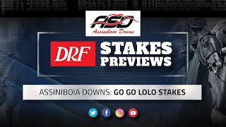 Go Go Lolo Stakes Preview 2020