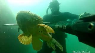 Praias Algarve  Férias 2017  Pesca Subacquea - Spearfishing - Pesca Submarina -