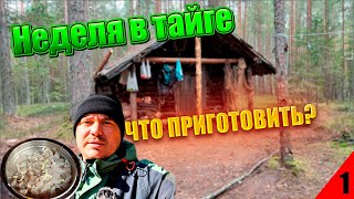 Неделя в тайге. Что приготовить на рыбалке? Рецепт сагудая из щуки.