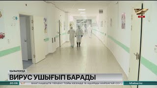 Қызылорда облысында вирус ушығып барады