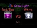 White LED vs Red/Blue LED Grow light Grow Test - Part 1 (Educational) 2016 White LED vs Red/Blue LED Grow light Grow Test - Part 1 (Educational) 2016